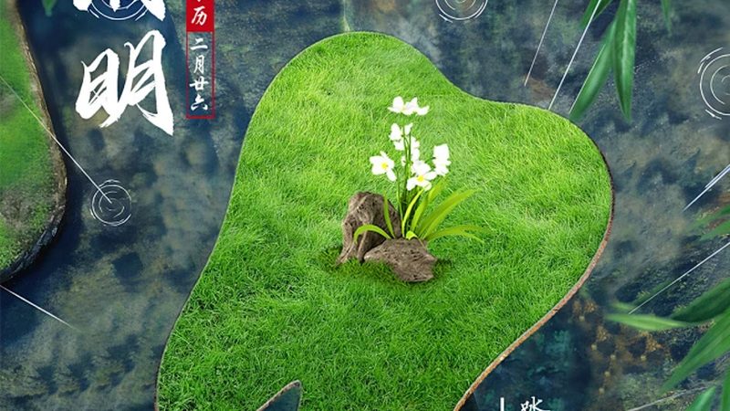 成都后牙种植牙用什么型号好